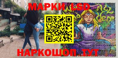гашик Будённовск