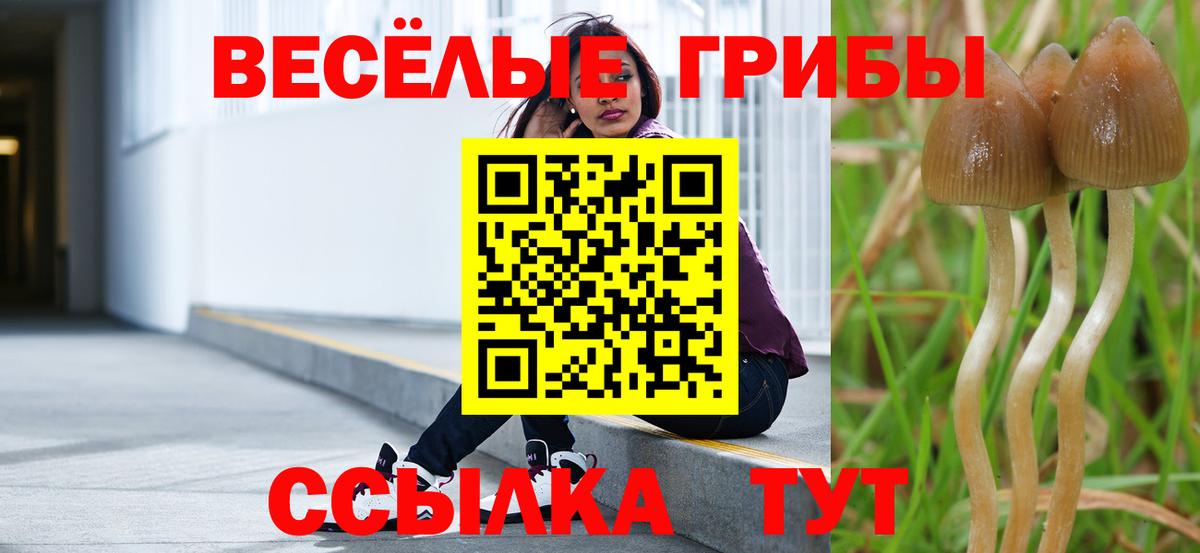 Галлюциногенные грибы мицелий  Псилоцибиновые грибы GOLDEN TEACHER  Белебей  Вход с VPN 